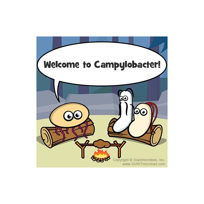 Campylobacter cartoon