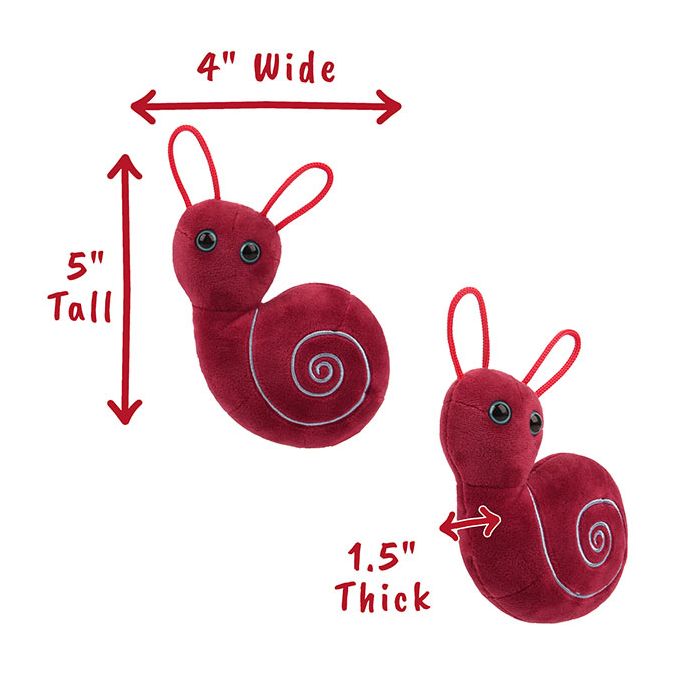 Inner Ear plush dimensions