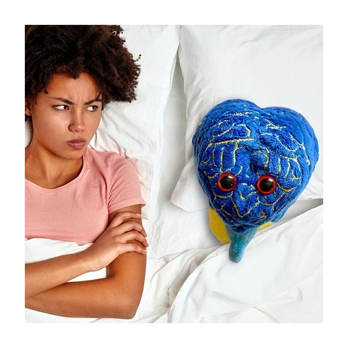 Insomnia in bed trouble sleeeping