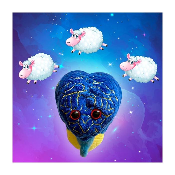 Insomnia dreaming of sleep