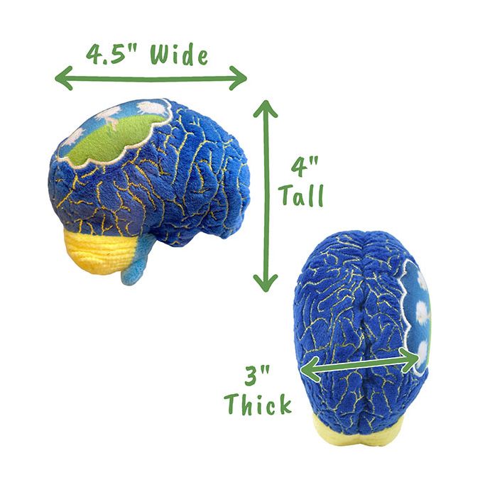 Insomnia plush dimensions