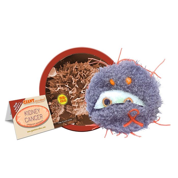 Kidney Cancer cluster