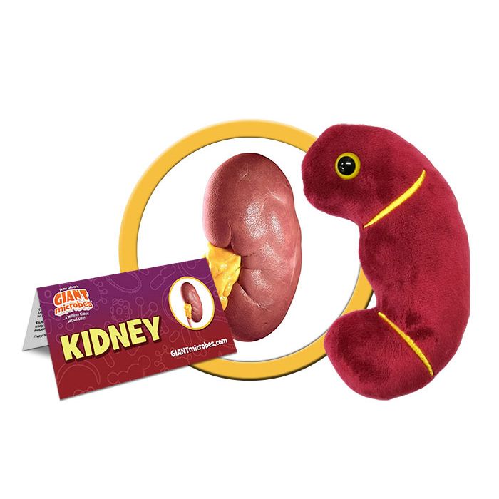 Kidney plush cluster