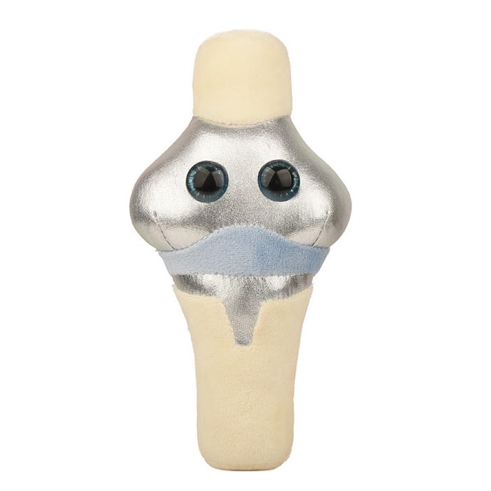 Knee Replacement plush front
