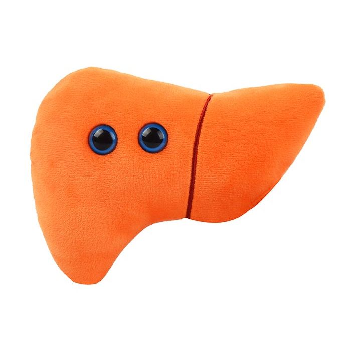 Liver plush doll