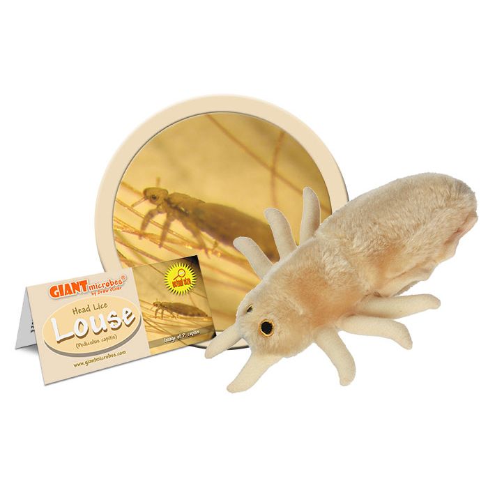 Louse plush cluster
