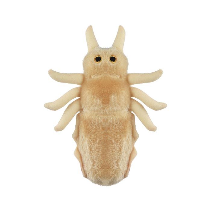 Louse plush top