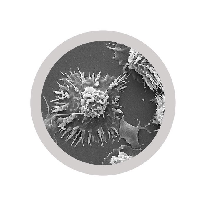 Lung Cancer microbial