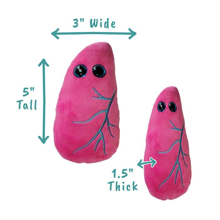 Lung plush dimensions