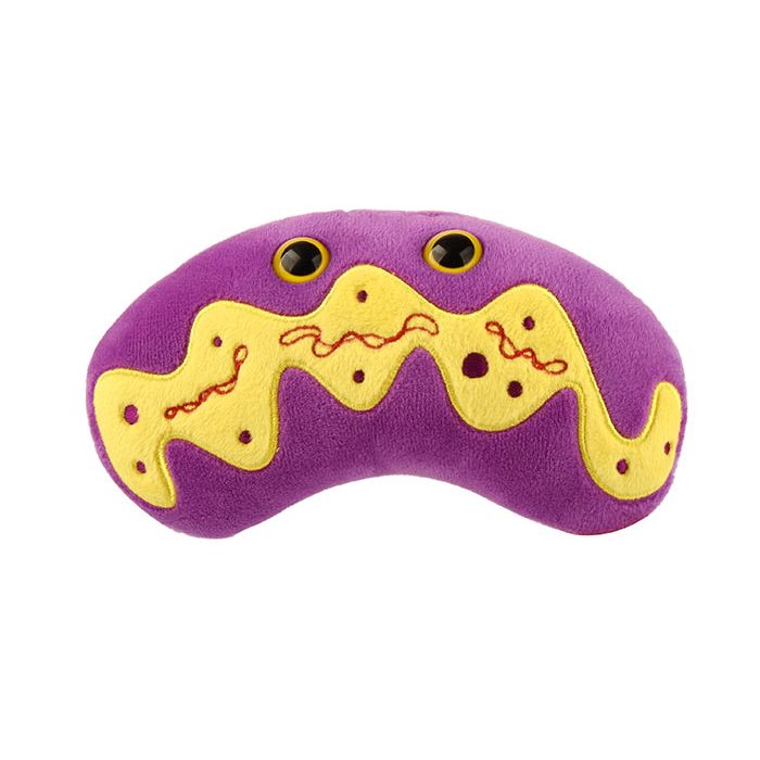 Mitochondria plush front