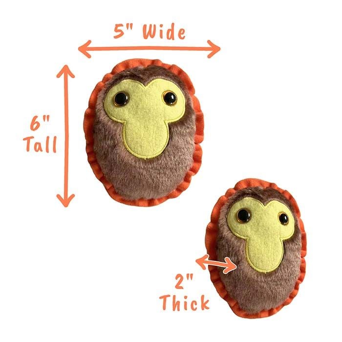 Monkeypox dimensions