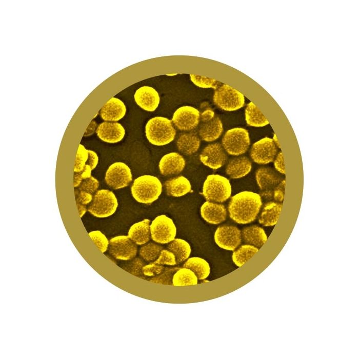 Killer Bacteria pack microbial