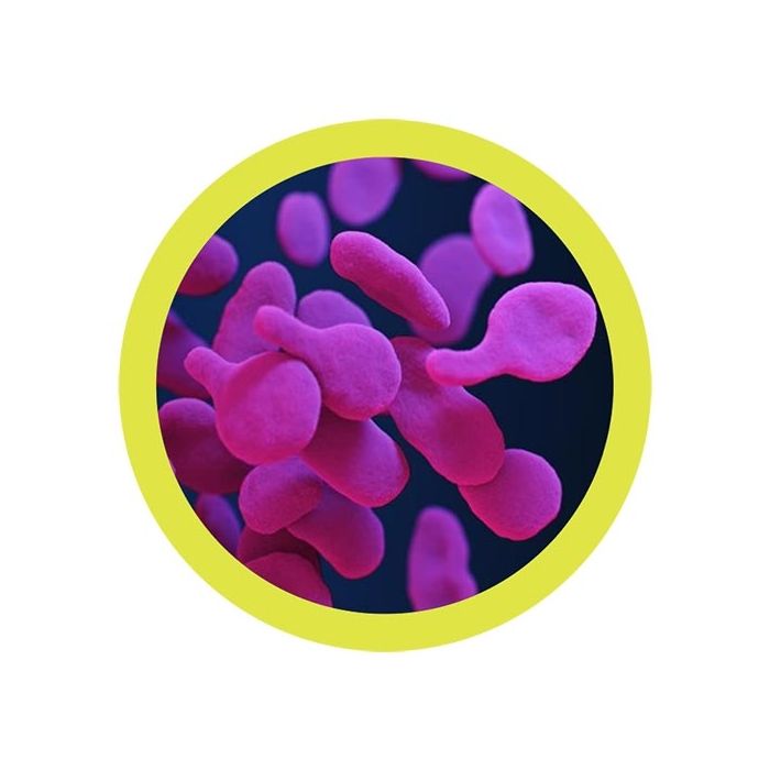 Mycoplasma microbial