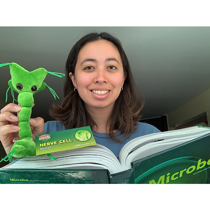 Nerve Cell plush studying