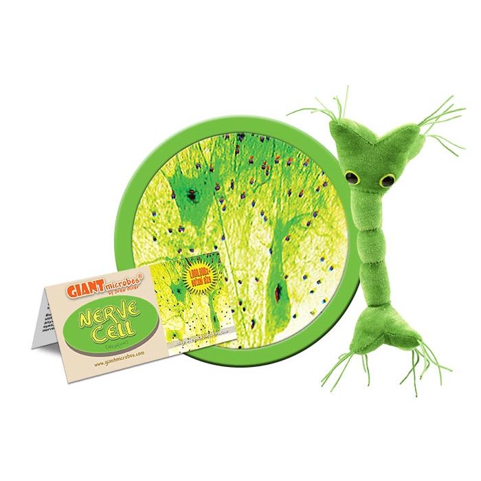 Nerve Cell plush cluster