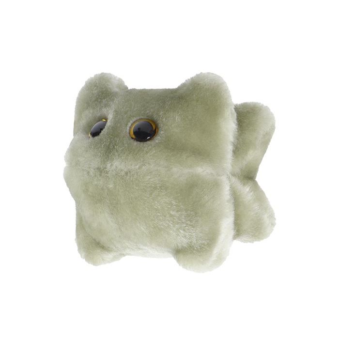 Norovirus plush angle