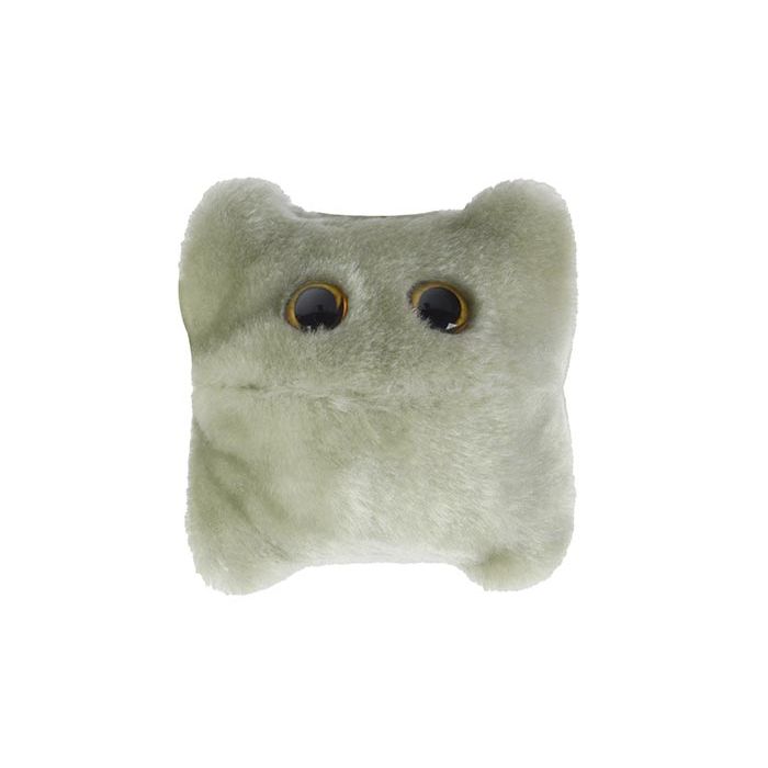 Norovirus plush front view