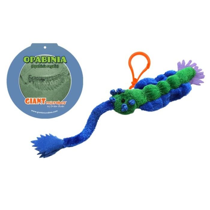Opabinia key chain with tag