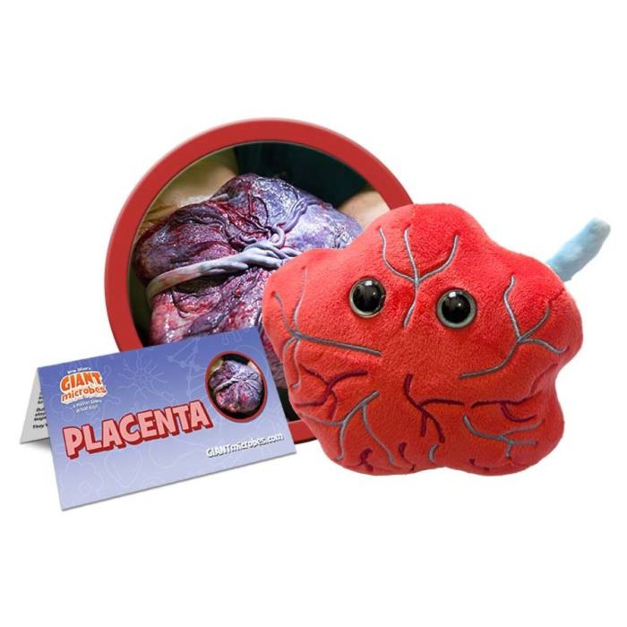Placenta plush cluster