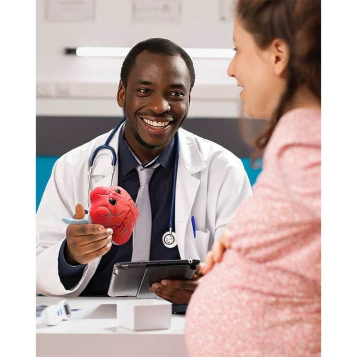 Placenta plush with pregnant woman and doctor