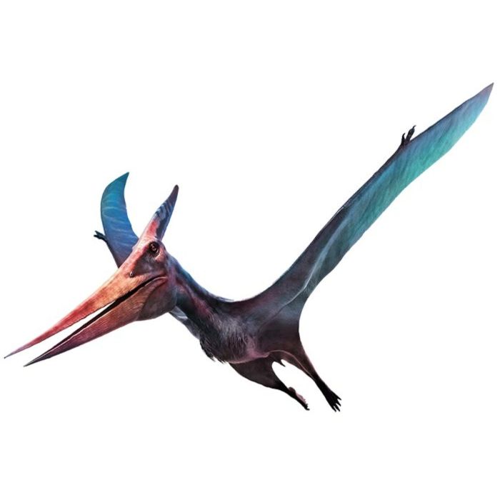 Pteranodon dinosaur