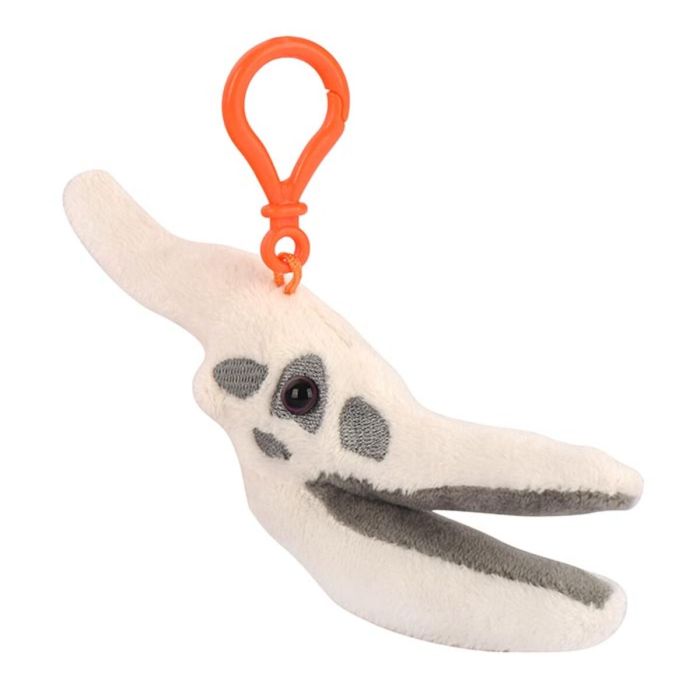Pteranodon key chain angle
