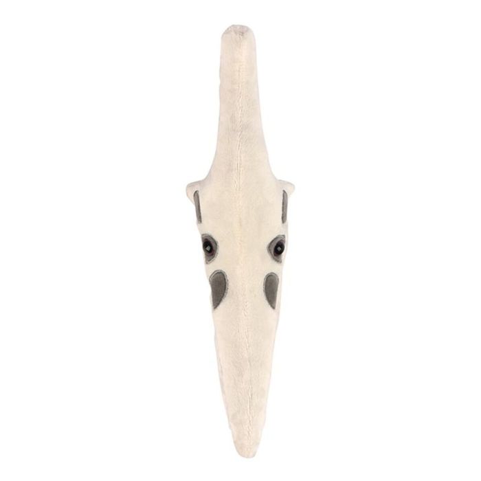Pteranodon skull plush top
