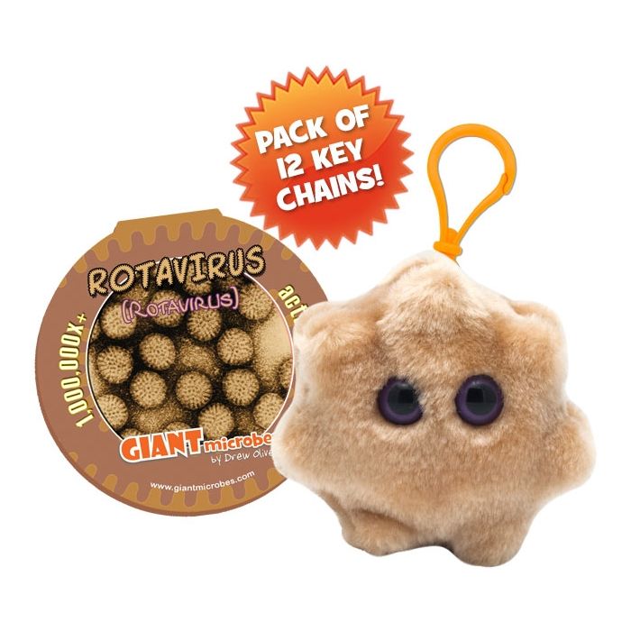 Rotavirus key chain