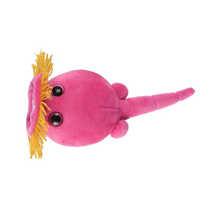 Rotifer plush top
