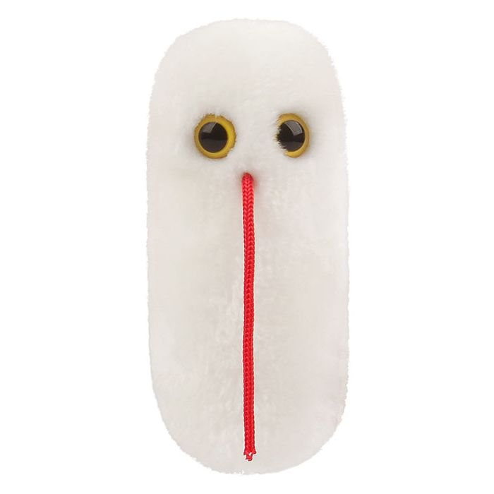 Salmonella plush front