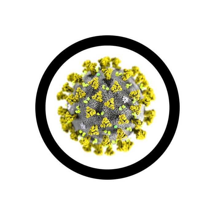 Coronavirus microbial