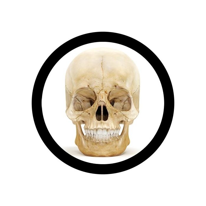 Real Skull image