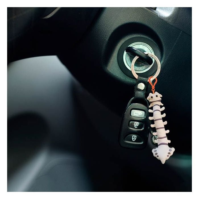 Spine key chain car ring
