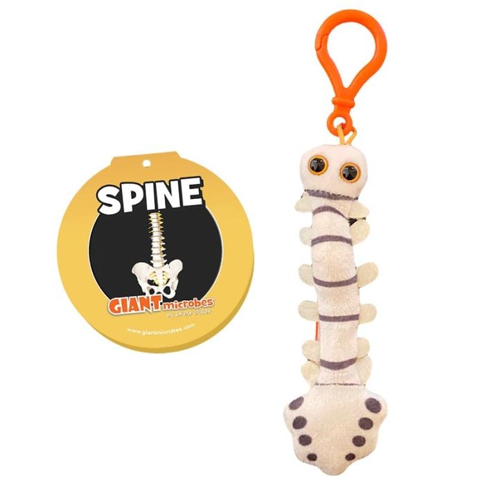 Spine key chain cluster