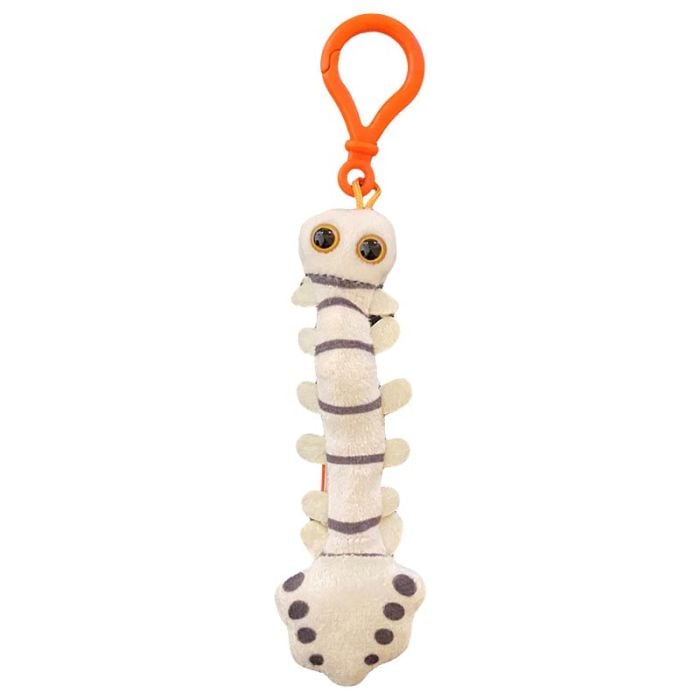 Spine key chain front