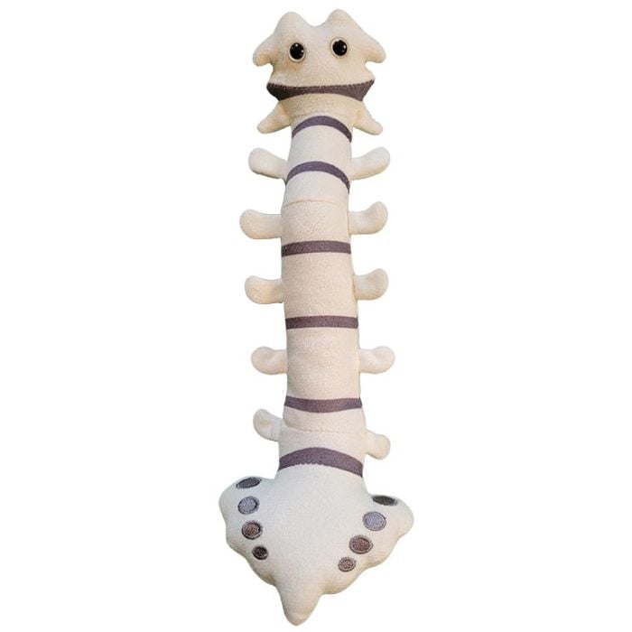 Spine plush front