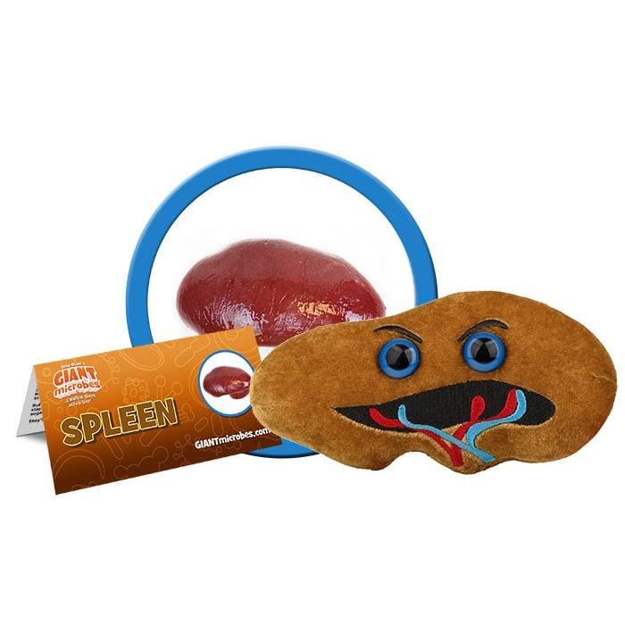 Spleen plush cluster