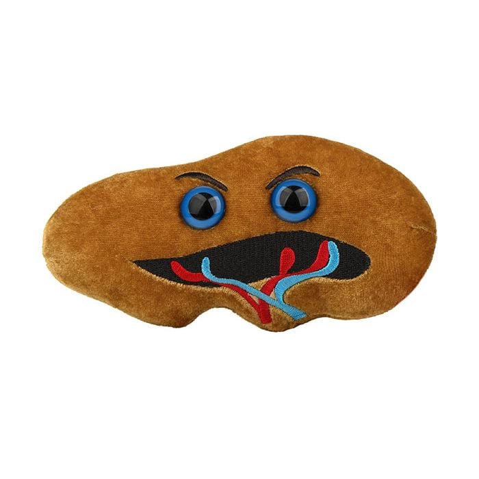Spleen plush front