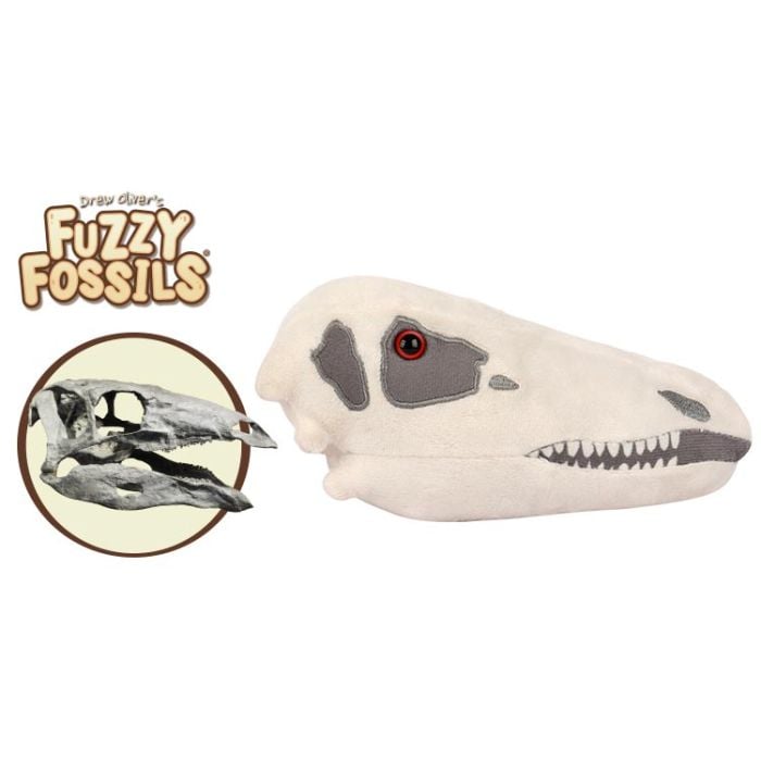 Stegosaurus skull cluster