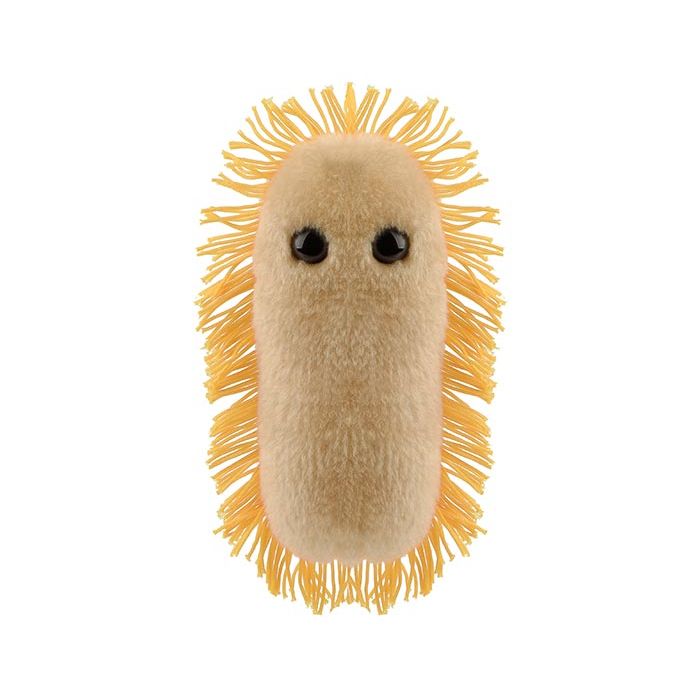 Stomach Ache plush front