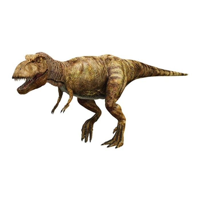 T. rex dinosaur