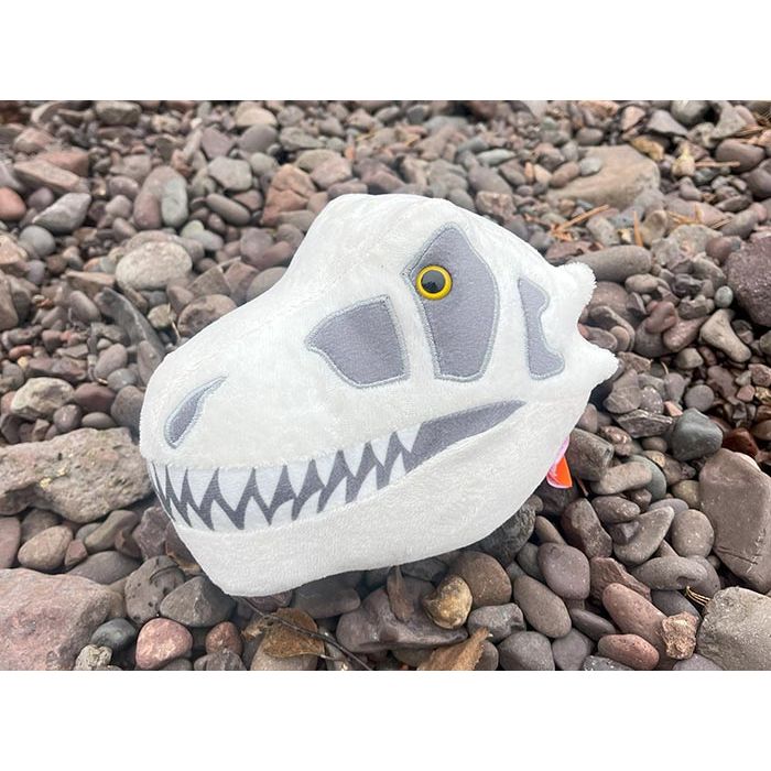 T. rex skull on rocks