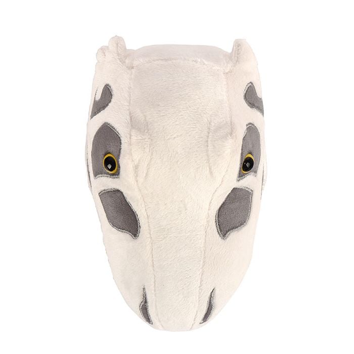 T. rex skull plush top