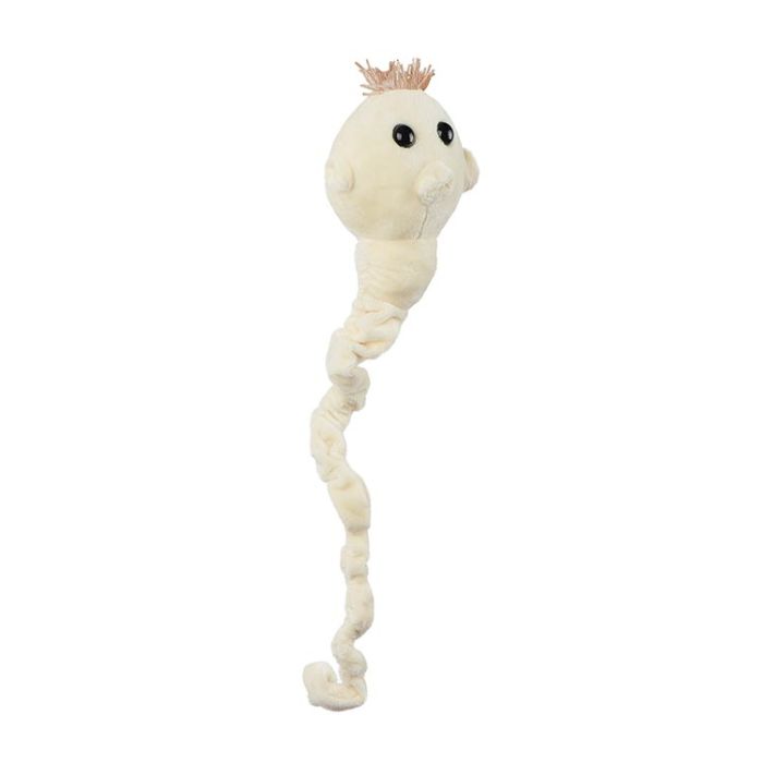 Tapeworm plush angle