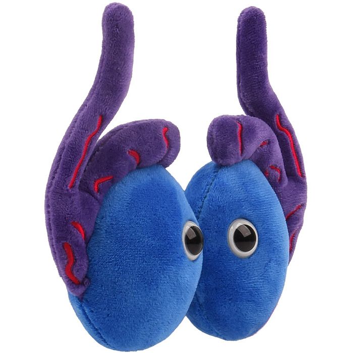 Testicles plush angle