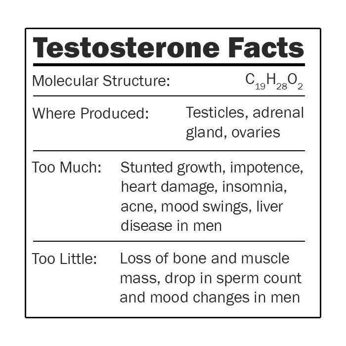 Testosterone facts