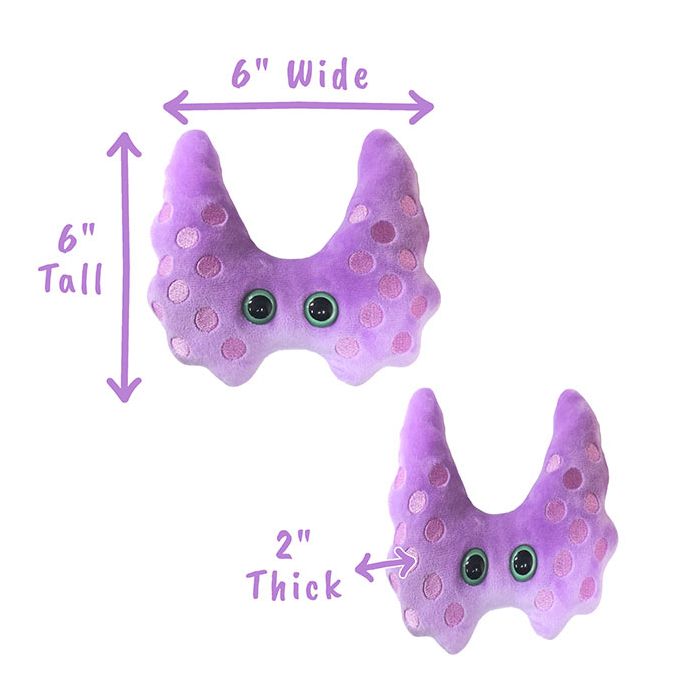 Thyroid plush dimensions
