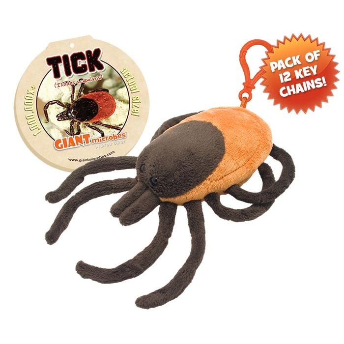 Tick key chain 12 pack new