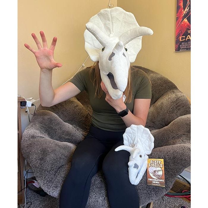 Triceratops gigantic and original funny