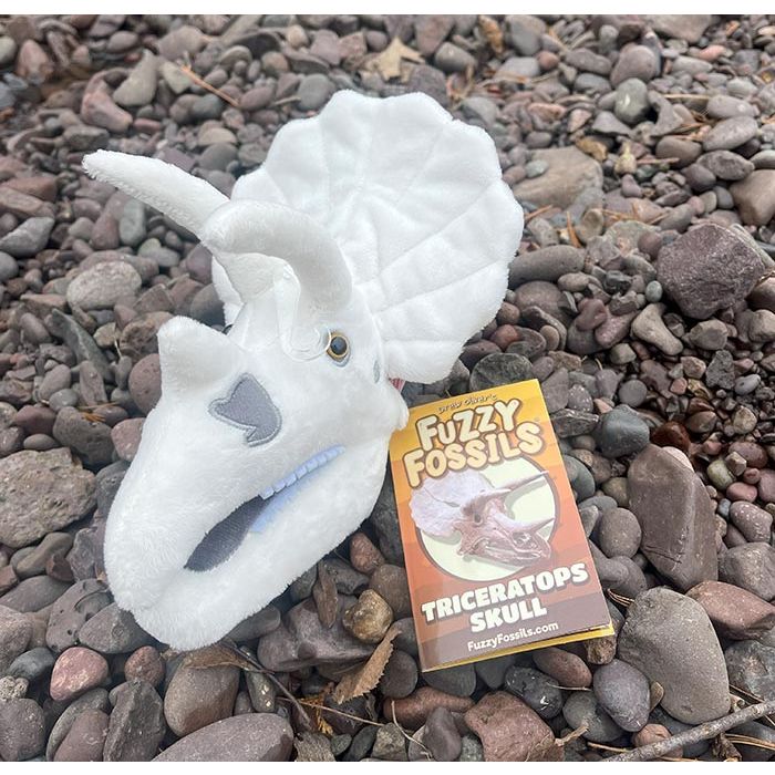 Triceratops skull on rocks